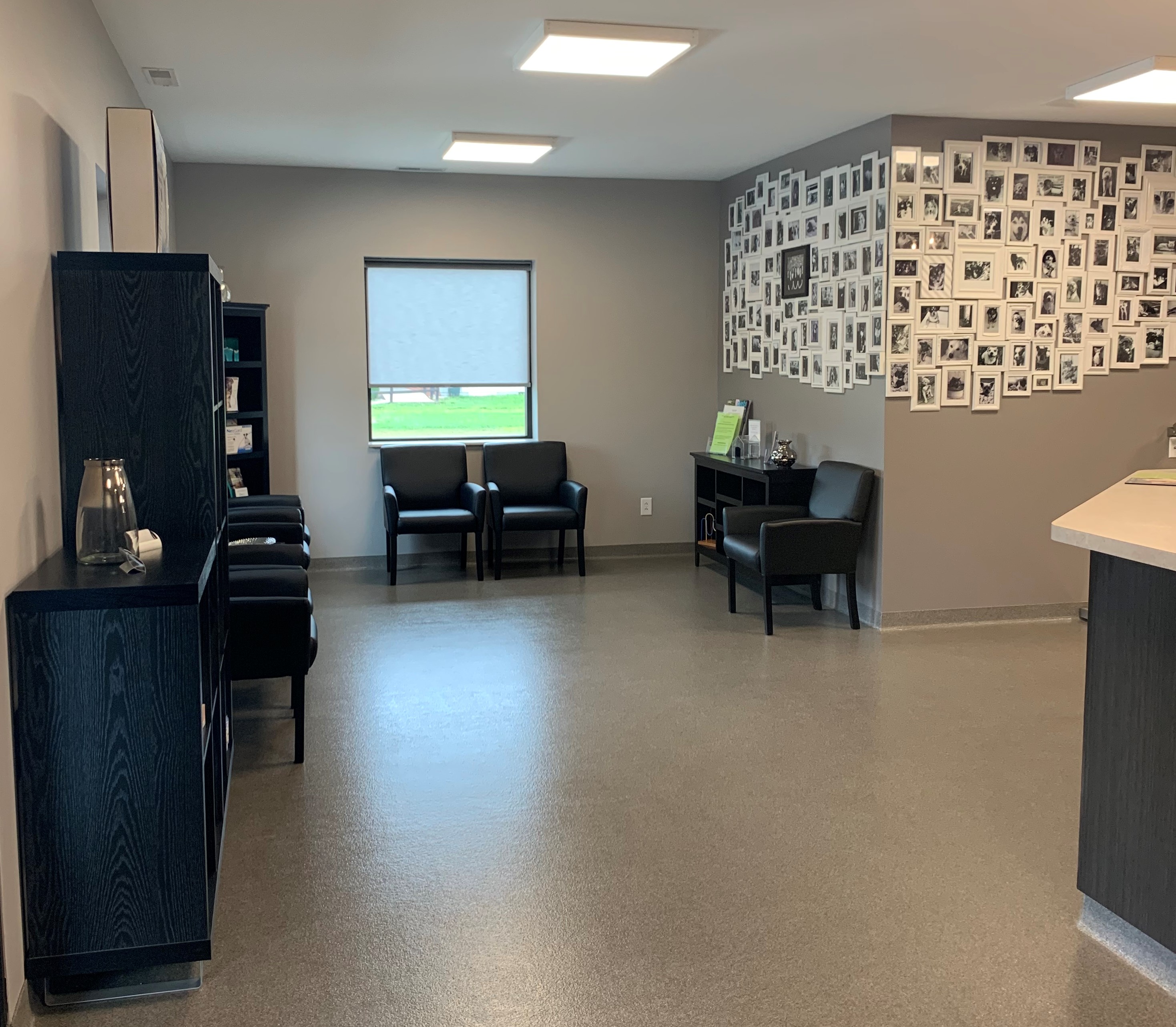 Shelton Veterinary Care / Tour Our Clinic